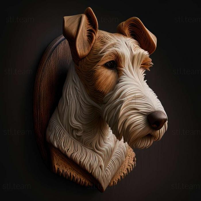 Foxterrier dog